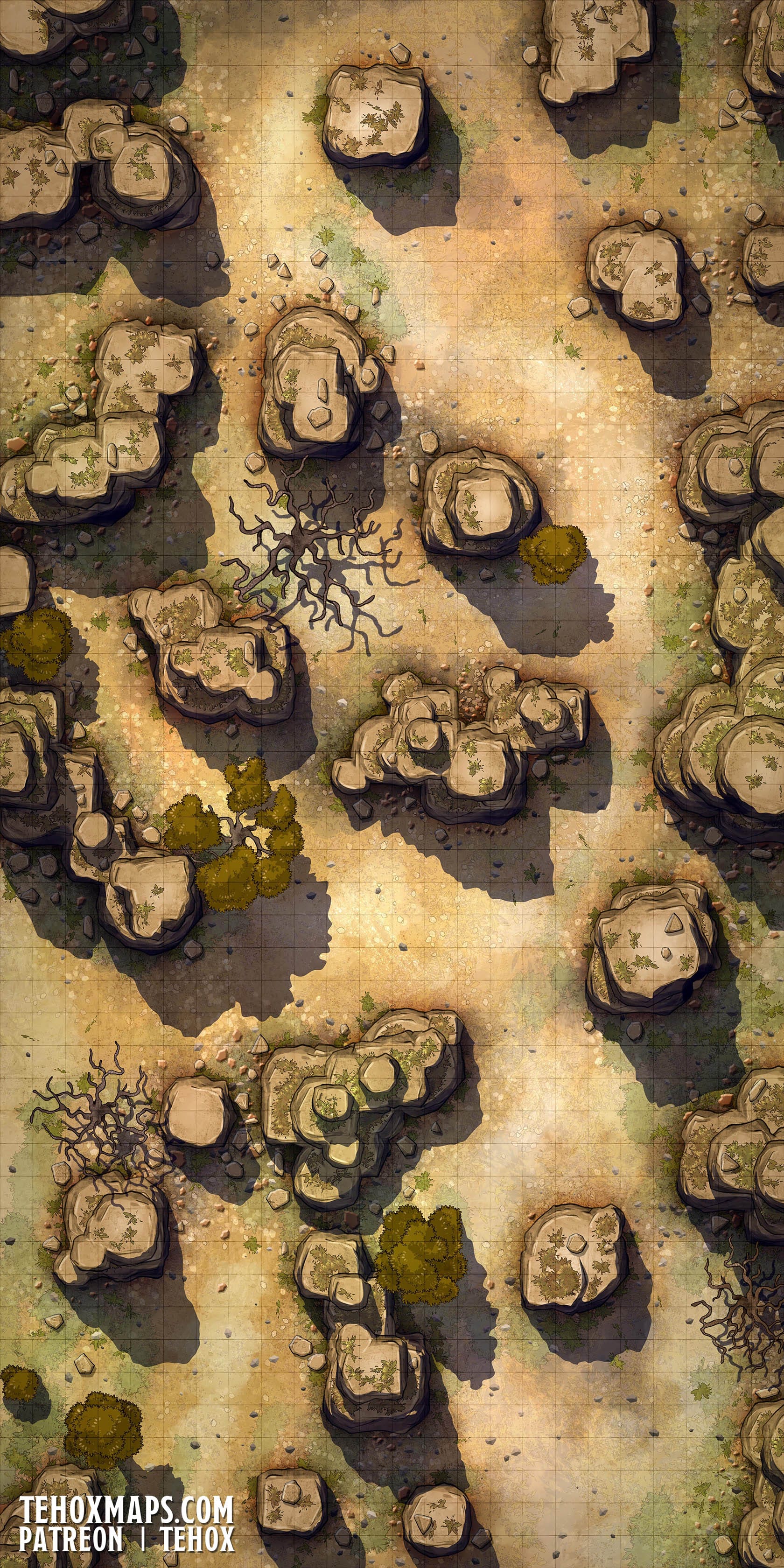 Battlemap of a rugged rocky area